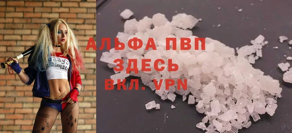 сатива Вязники