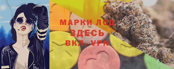 прущая мука Вяземский