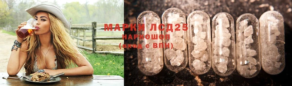 прущая мука Вяземский