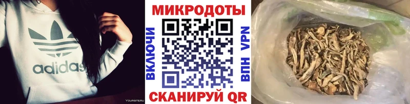 Галлюциногенные грибы GOLDEN TEACHER цена наркотик Дудинка